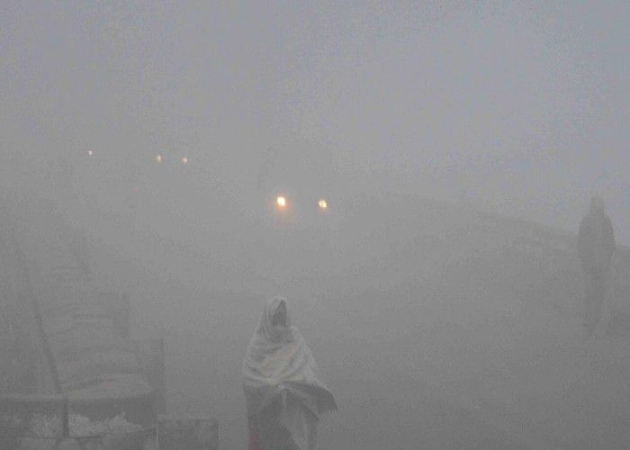 Fog in Katni घने कोहरे की आगोश में है ये शहर, दिन में भी छाया अंधेरा