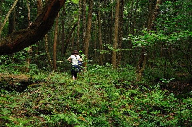 there is no return from this forest जो इस जंगल में गया, वो कभी वापस नहीं आया, जानें क्यों?
