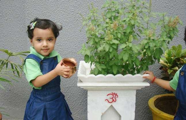 Tulsi Ka Paudha Bta Dega Aap Par Aane Wali Hai Pareshani - तुलसी का पौधा  बता देगा, आपके साथ होने वाला है कुछ बुरा! | Patrika News