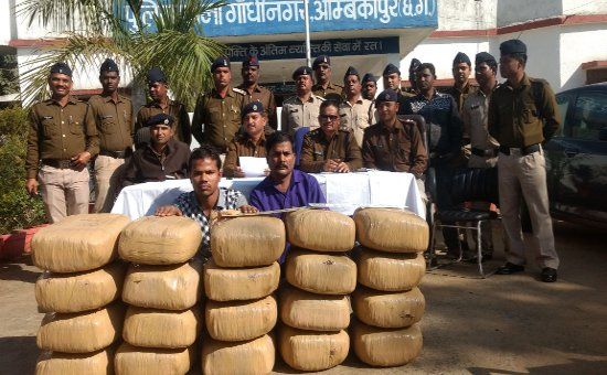 hemp smugglers arrested डकैतों की धरपकड़ में लगी Police के हत्थे चढ़े 2 तस्कर, Car से 1.60 क्विंटल गांजा जब्त