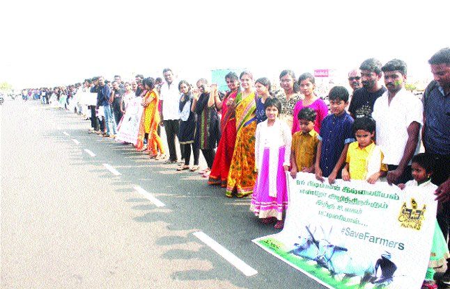 chennai रोक के बावजूद जल्लीकट्टू का आयोजन