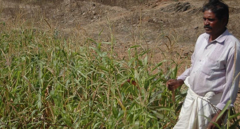 jhabua किसानों को अस्थायी कनेक्शन दिया, बिजली नहीं