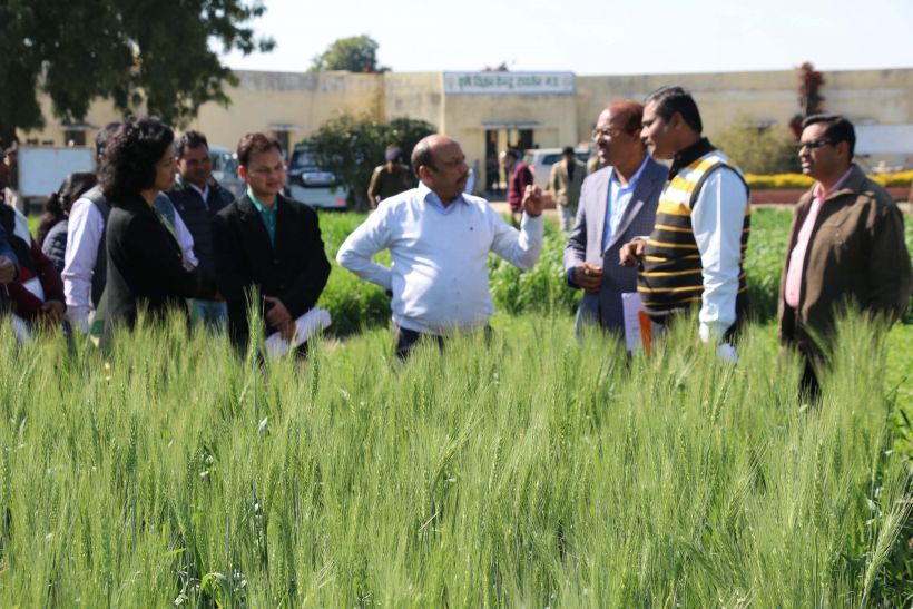 raisen मुनाफे वाली फसलों की ओर बढ़ाएं किसानों को