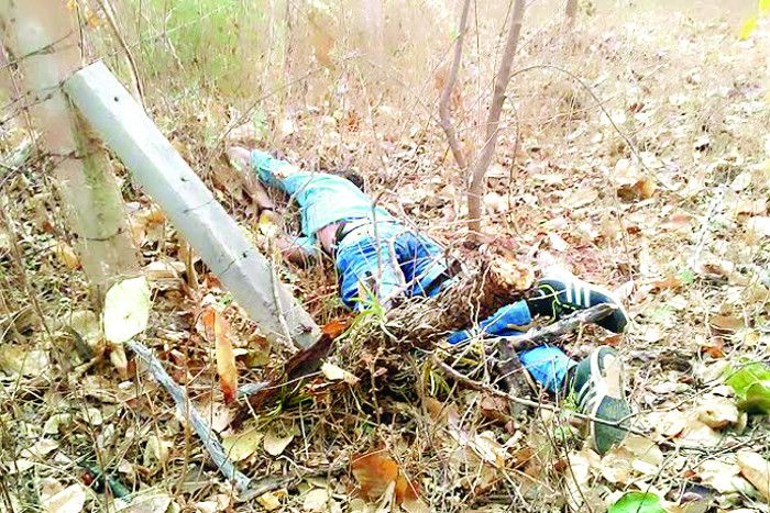 Young man killed बेकाबू बाइक के पेड़ से टकराने पर युवक की मौत, पूरी रात सड़क पर पड़ी रही लाश