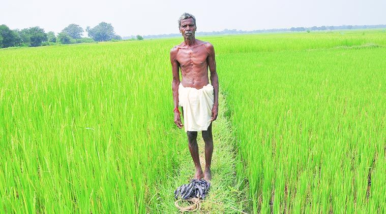 agriculture खाद्दान्नों को मिले वाजिब कीमत, कृषि उपकरणों पर उत्पाद शुल्क में मिले छूट