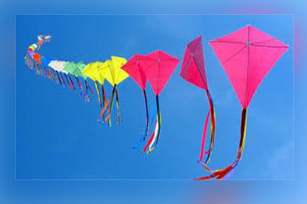 kite festival: with cold winds will sky-colorful पतंग महोत्सव: ठंडी बयार के साथ आसमान होगा सतरंगी