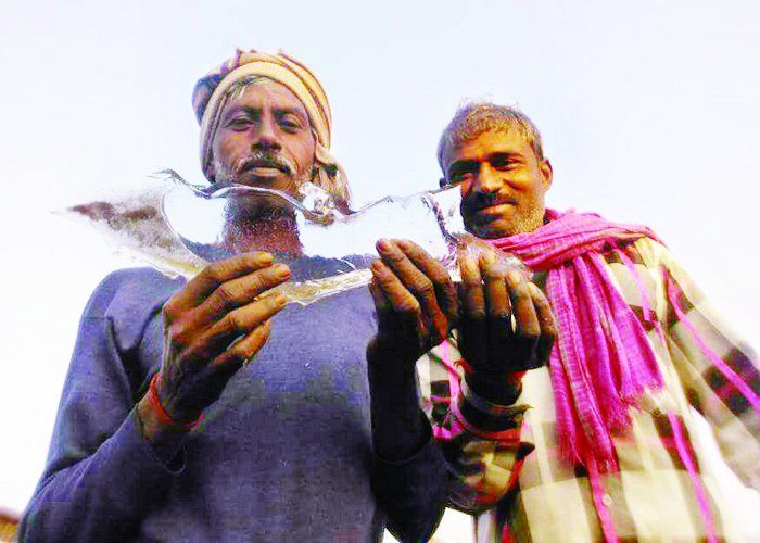 cold wave MP में शीत लहर का प्रकोप, दतिया में जीरो तो ग्वालियर में 4 डिग्री सेल्सियस रहा पारा