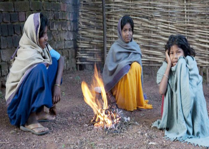 cold wave अगर बढ़ा TEMPERATURE में अंतर, तो बर्बाद हो सकती है फसलें