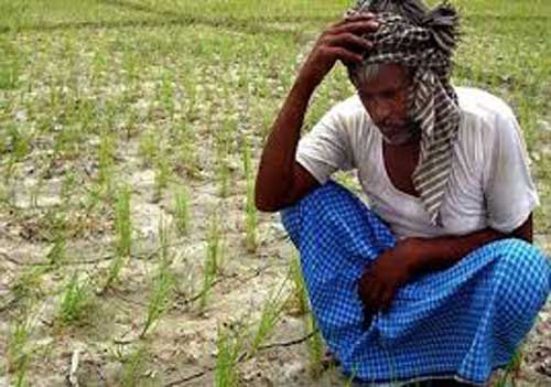 farmer 223 किसानों को ही मिला धान समर्थन मूल्य योजना का लाभ