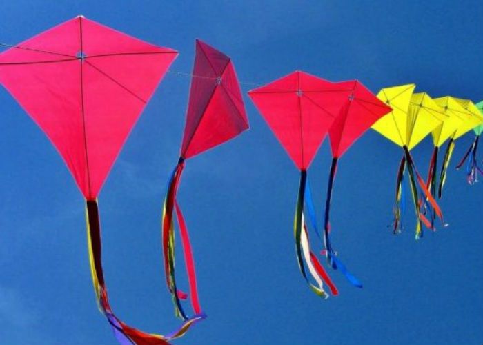 Makar Sankranti मकर संक्रांति पर उड़ने वाली पतंग पर रहेगी आयोग की नजर