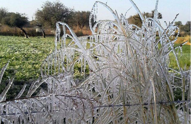 Lohri celebration and cold wave in india शीत लहर के कारण इंदौर में आंगनवाडिय़ों और स्कूलों का टाइम बदला, यह है नया समय