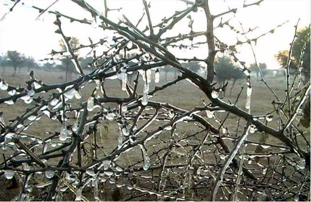 cold उत्तर बिहार में जम गया पानी, 1.5 डिग्री सेल्सियस पर पहुंचा पारा