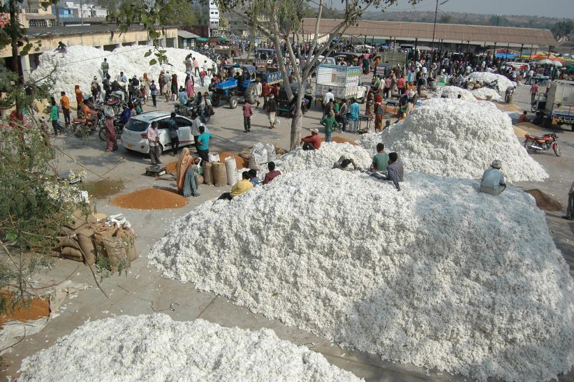 jhabua जिले में फसल के अलग-अलग भाव