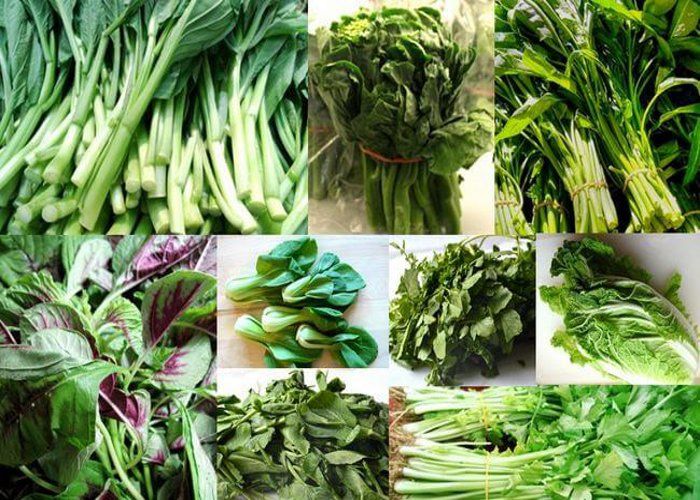 Winter Diet, Eat Green Vegetables To Be Fit - सर्दियों में ग्रीन वेजिटेबल्स को डाइट में करें शामिल | Patrika News