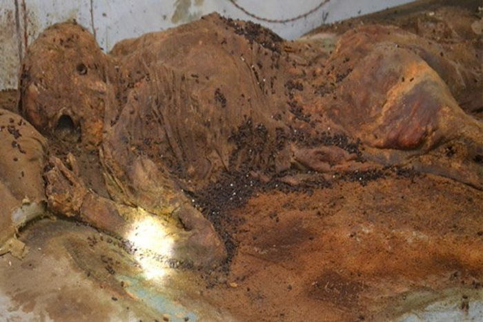human skeleton found यहां नदी की खुदाई में निकल रहे नर कंकाल, आसपास के इलाकों में फैली दहशत