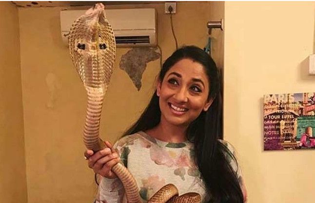 shruti कोबरा सांप ने इस अभिनेत्री को करवाया अरेस्ट, वजह जानकर चौंक जाएंगे आप