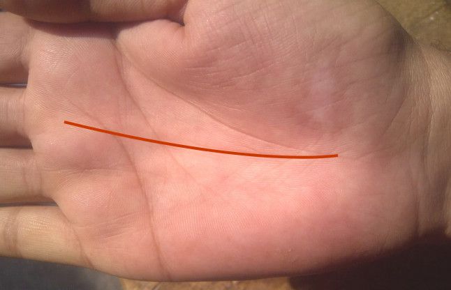 fate line bhagya rekha in palmistry इस एक रेखा से तय होता है आदमी का भाग्य, इन उपायों से खुलती है किस्मत