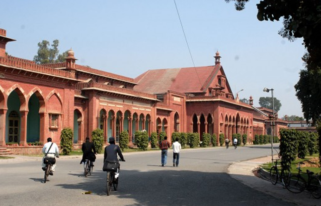 aligarh muslim university असिस्टेंट प्रोफेसर, सीनियर रेजिडेंट के 03 पदों पर भर्ती, Apply soon
