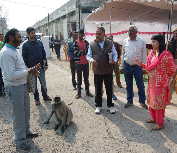 Baboon gaurd ईवीएम की सुरक्षा के लिए डीएम बी चंद्रकला तैनात किया एक खास सिपाही