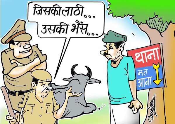 Villager Find his buffalo after Search of 500 km, 500 किमी गांव-गांव तलाशकर ढूंढी अपनी भैंस 'चंदा', अब पुलिस बनी विलेन