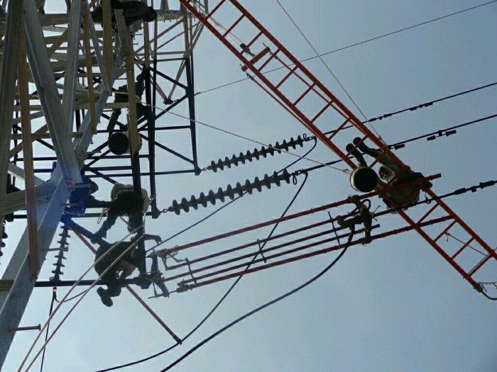 Electricity department employee, Electricity emplo अधिकारियों ने चालू एक्स्ट्रा हाईटेंशन लाइन में चढ़ा दिया कर्मचारी, और फिर हुआ ये... देखें लाइव फोटो