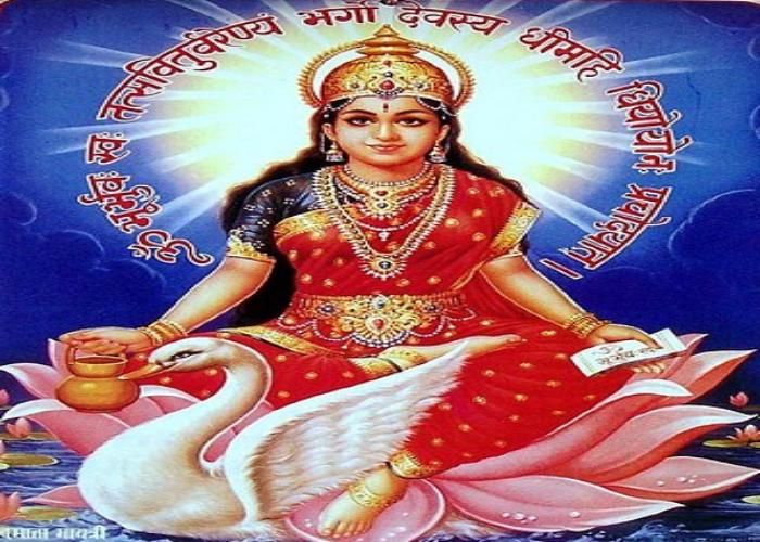 Gayatri pariwar 256वां युगऋषि वांड़मय साहित्य की स्थापना