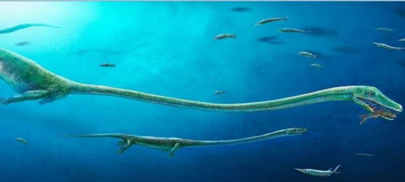 245 million years ago, this long-necked sea creatu समुद्र में रहता था डायनासोर से भी बड़ा और खतरनाक जानवर, शोधकर्ताओं ने बताया अब तक की सबसे बड़ी खोज