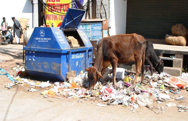 Spilled out of the container dirt, cleaning worker कंटेनर से बाहर छलक रहा कचरा, सफाई कामगार दूसरे दिन भी हड़ताल पर