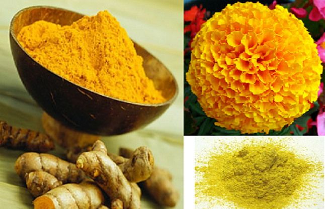 herbal colors होली के लिए ऐसे बनाएं हर्बल रंग, साइड इफेक्ट नहीं होंगे