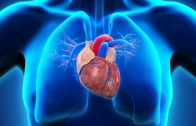 heart attack ऐसे रहेगा आपका दिल दुरुस्त, जानें कुछ खास टिप्स