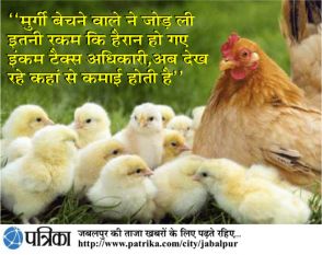 Income Tax Raid, income tax raids on chicken selle Income Tax Raid, income tax raids on chicken selle