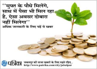 money plants benafits,plants with money,plants fre money plants benafits,plants with money,plants fre