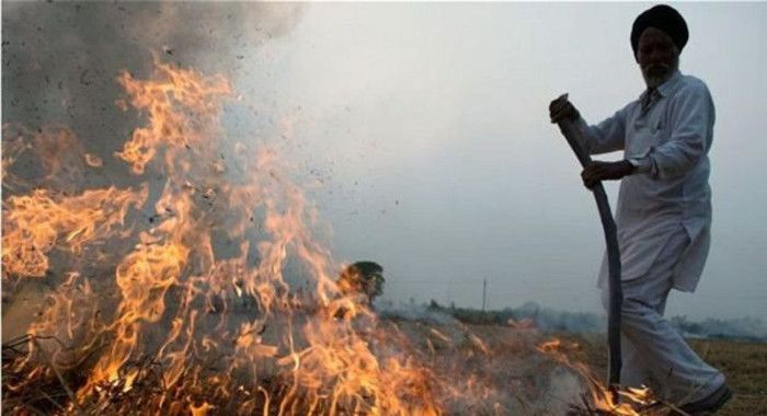 jhansi फसल काटने के बाद किसान खेत में न करें ये काम, हो सकती है जेल