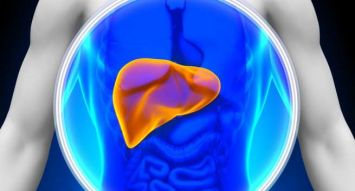 fatty liver fatty liver