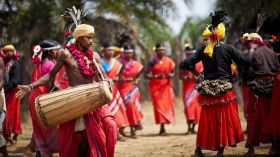 Image result for bhil tribe of mp