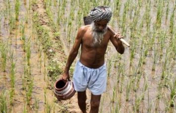 farmer farmer