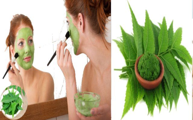 Neem leaves त्वचा और बालों के लिए लाभदायक हैं नीम की पत्तियां, जानिए कैसे