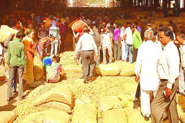 potato 2 रुपए किलो बिक रहा आलू, किसानों को नहीं मिल रही लागत