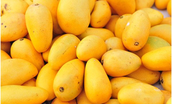 Mango फलों का राजा आम हुआ खतरनाक, पक रहा चीन के केमिकल से
