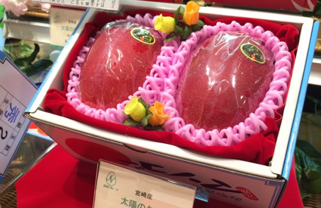 expensiv mangoes जापान के ये दो आम बिके इतनी कीमत में की नई कार आ जाती,देखें वीडियो