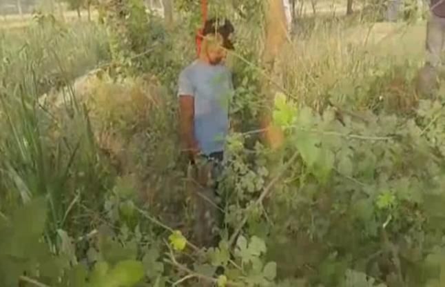 suicide लड़की लेकर भागे युवक का शव पेड़ से लटका मिला, देखें VIDEO