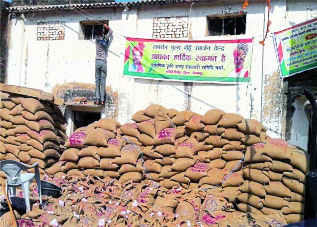 Tikamgarh news in hindi, madhya pradesh news in hi गेहूं की खरीद न होने से किसान परेशान
