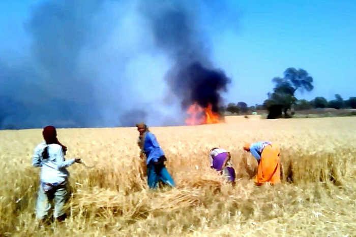 Fire आग से 5 एकड़ की फसल खाक