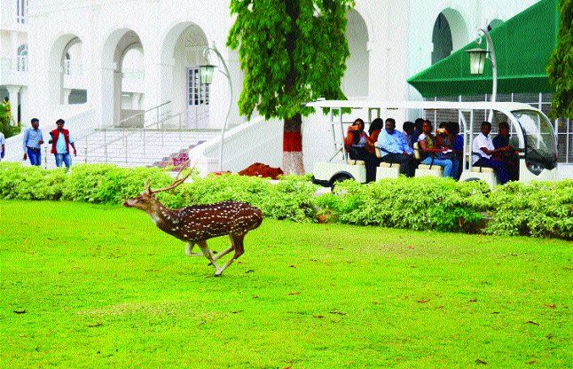chennai जनता के लिए खुला राजभवन