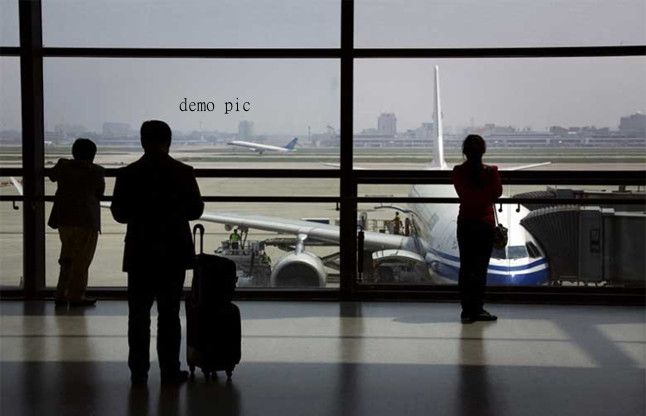 Domestic Passengers मार्च में घरेलू हवाई यात्रियों की संख्या 15 फीसदी बढ़ी