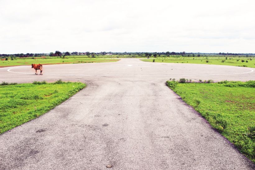 Small trees start cutting for the runway's runway चकरभाठा की हवाई पट्टी के लिए छोटे पेड़ों की कटाई शुरू