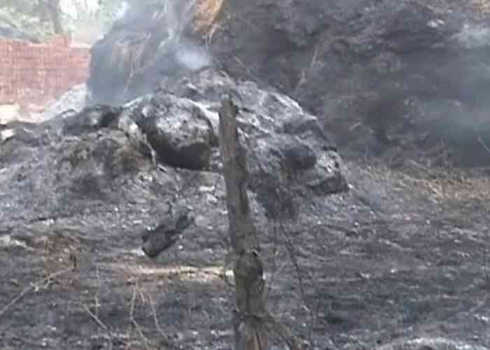 Fire खेत में लगी आग