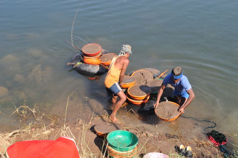 narmada news जहां सीएम ने किया था खनन रोकने का ऐलान, वहीं छलनी हो रही माँ नर्मदा