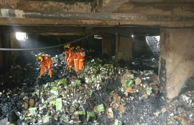 NDRF नोएडा अग्निकांड: NDRF की 33 सदस्यीय टीम ने स्पेशल डॉग के साथ शुरू किया सर्च आॅपरेशन