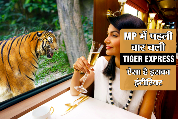 MP में दोबारा आएगी देश की पहली TIGER EXPRESS, ऐसा है इसका इंटीरियर